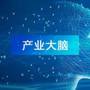 山東實數(shù)融合再添新“增量”：45個“產(chǎn)業(yè)大腦”開建，十大門類產(chǎn)業(yè)全覆蓋