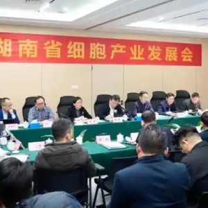 打造具有影響力的細胞產(chǎn)業(yè)集群 湖南省細胞產(chǎn)業(yè)發(fā)展座談會舉行
