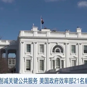 美國(guó)政府效率部21名雇員辭職：不愿幫助削減關(guān)鍵公共服務(wù)