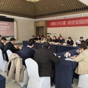 如何讓安全產(chǎn)業(yè)成為國民經(jīng)濟的重要支柱產(chǎn)業(yè)，看看專家怎么說
