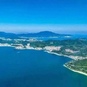 向海而興，深圳市大鵬新區(qū)多方聚力打造產(chǎn)業(yè)創(chuàng)新生態(tài)高地
