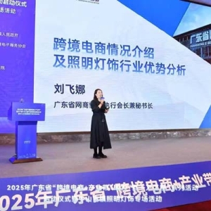一個小鎮(zhèn)點(diǎn)亮地球一半燈光 跨境電商帶飛傳統(tǒng)產(chǎn)業(yè)的中山樣本