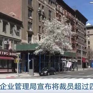 美國小企業(yè)管理局將裁員超40%，為聯(lián)邦政府節(jié)省超4.35億美元