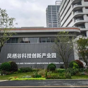 鳳棲谷科技創(chuàng)新產(chǎn)業(yè)園開園，天府新區(qū)“立園滿園”戰(zhàn)略加速推進