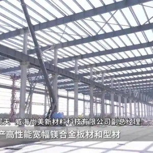 南海新區(qū)鎂合金產(chǎn)業(yè)園一期項(xiàng)目“加速跑”