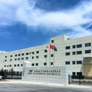 暢聯(lián)通道 產(chǎn)業(yè)賦能出海拓市場(chǎng)——解鎖新區(qū)一季度外貿(mào)亮眼成績(jī)單背后的開放密碼