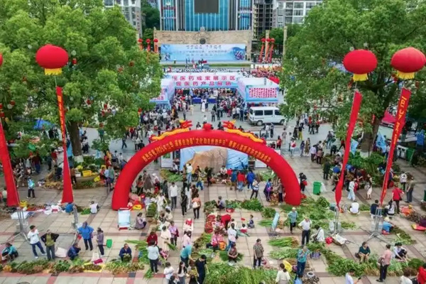 江華開啟瑤醫(yī)藥傳承發(fā)展新篇
